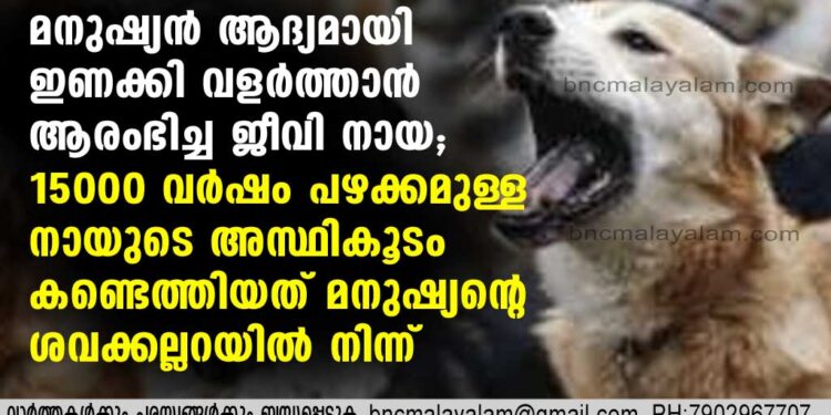 മനുഷ്യനും നായയുമായുള്ള ബന്ധം