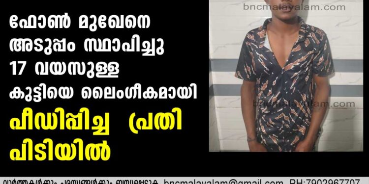 17 വയസുള്ള കുട്ടിയെ ലൈംഗീകമായി പീഡിപ്പിച്ച പ്രതി പിടിയില്‍