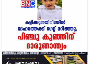 കളിക്കുന്നതിനിടയിൽ ദേഹത്തേക്ക് ഗേറ്റ് മറിഞ്ഞു;പിഞ്ചു കുഞ്ഞിന് ദാരുണാന്ത്യം.