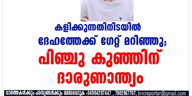 കളിക്കുന്നതിനിടയിൽ ദേഹത്തേക്ക് ഗേറ്റ് മറിഞ്ഞു;പിഞ്ചു കുഞ്ഞിന് ദാരുണാന്ത്യം.