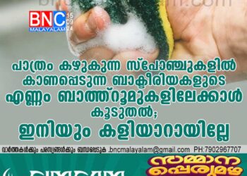 പാത്രം കഴുകുന്ന സ്‌പോഞ്ചുകളില്‍ കാണപ്പെടുന്ന ബാക്ടീരിയകളുടെ എണ്ണം ബാത്ത്‌റൂമുകളിലേക്കാള്‍ കൂടുതല്‍ ; ഇനിയും കളിയാറായില്ലേ