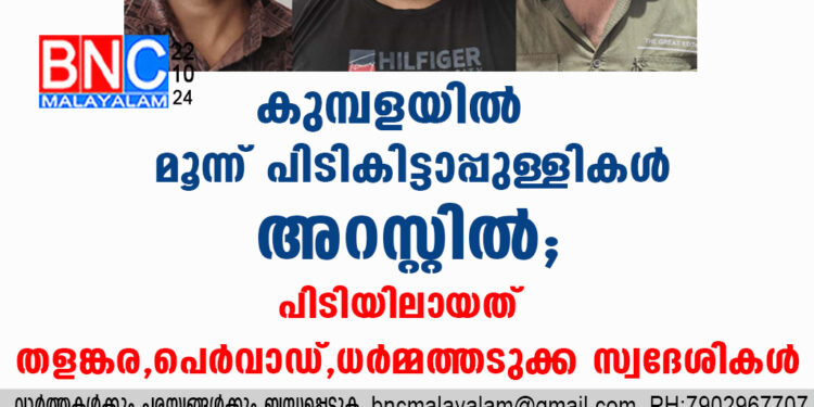 കുമ്പളയിൽ മൂന്ന് പിടികിട്ടാപ്പുള്ളികൾ അറസ്റ്റിൽ; പിടിയിലായത് തളങ്കര, പെർവാഡ്, ധർമ്മത്തടുക്ക സ്വദേശികൾ