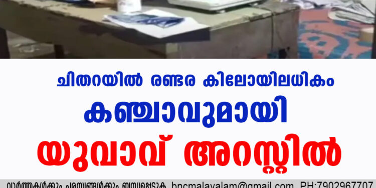 ചിതറയിൽ രണ്ടര കിലോയിലധികം കഞ്ചാവുമായി യുവാവ് അറസ്റ്റിൽ