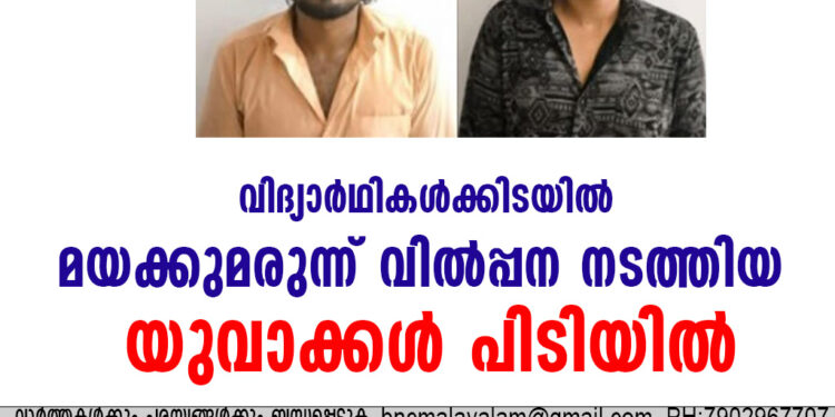 വിദ്യാര്‍ഥികള്‍ക്കിടയില്‍ മയക്കുമരുന്ന് വില്‍പ്പന നടത്തിയ യുവാക്കള്‍ പിടിയില്‍