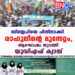 പാലക്കാട് ബിജെപിയെ പിന്നിലാക്കി രാഹുലിന്റെ മുന്നേറ്റം, ആഘോഷം തുടങ്ങി യുഡിഎഫ് ക്യാമ്പ്