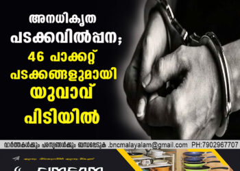 അനധികൃത പടക്കവിൽപ്പന; 46 പാക്കറ്റ് പടക്കങ്ങളുമായി യുവാവ് പിടിയിൽ