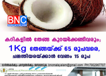 കറികളില്‍ തേങ്ങ കുറയ്‌ക്കേണ്ടിവരും; 1Kg തേങ്ങയ്ക്ക് 65 രൂപവരെ, ചമ്മന്തിയരയ്ക്കാന്‍ വേണം 15 രൂപ