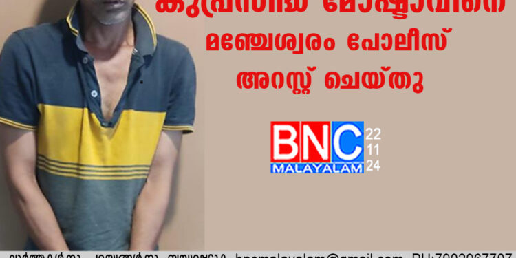 മോഷണ പരമ്പര സൃഷ്ടിച്ച് പോലീസിനെ ഞെട്ടിച്ച കുപ്രസിദ്ധ മോഷ്ടാവിനെ മഞ്ചേശ്വരം പോലീസ് അറസ്റ്റ് ചെയ്തു