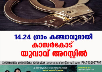 14.24 ഗ്രാം കഞ്ചാവുമായി കാസർകോട് യുവാവ് അറസ്റ്റിൽ