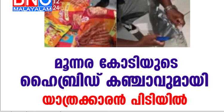 മൂന്നര കോടിയുടെ ഹൈബ്രിഡ് കഞ്ചാവുമായി യാത്രക്കാരന്‍ പിടിയില്‍