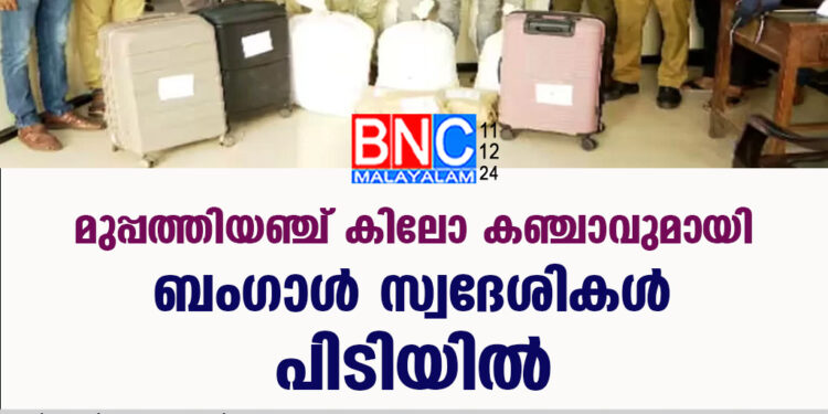 മുപ്പത്തിയഞ്ച് കിലോ കഞ്ചാവുമായി ബംഗാൾ സ്വദേശികൾ പിടിയിൽ