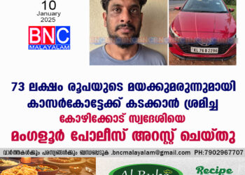 കാസർകോട്ടേക്ക് കടത്തുകയായിരുന്ന 73 ലക്ഷം രൂപ വിലമതിക്കുന്ന മയക്കുമരുന്നുമായി യുവാവ് അറസ്റ്റിൽ