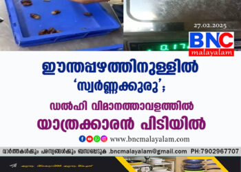 ഈന്തപ്പഴത്തിനുള്ളിൽ 'സ്വർണ്ണക്കുരു'; ഡൽഹി വിമാനത്താവളത്തിൽ യാത്രക്കാരൻ പിടിയിൽ